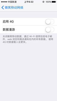漫游的意思