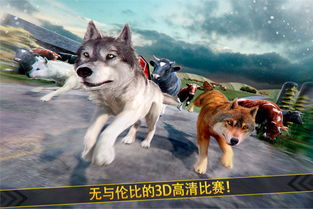 终极野狼模拟器哪里有许多狼