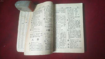 字典有哪些?