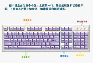 键盘练习，键盘练习指法