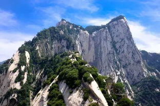 西岳指的是，西岳指的是 A 泰山 B 衡山 C 华山 D 嵩山