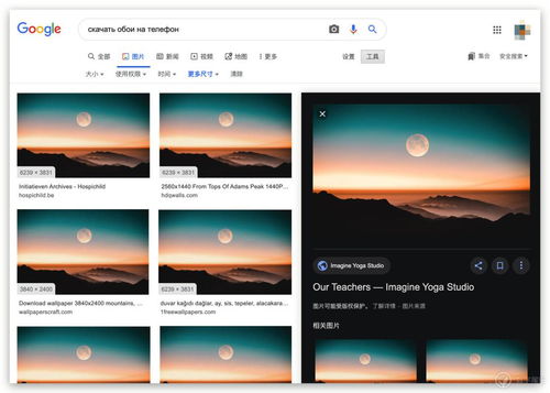 壁纸应用，壁纸应用软件哪个好