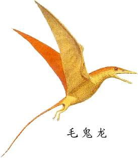 翼龙怎么叫