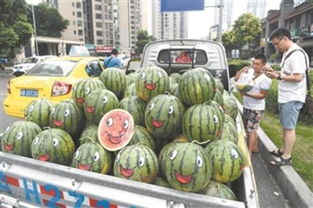 和成大西瓜，和成大西瓜自定义版