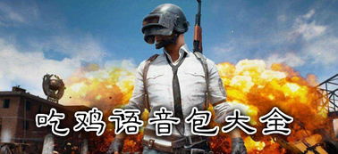 吃鸡语音包在哪里购买?