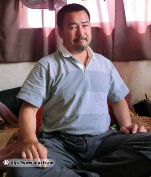 美国胖熊