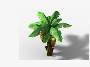 芭蕉树图片,芭蕉树图片大全大图