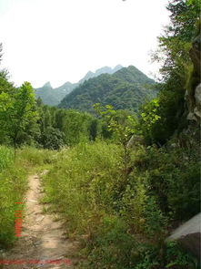 南山隐士为什么不写小说了