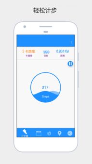 运动计步器，运动计步器免费下载