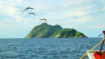 蛇岛是禁区吗
