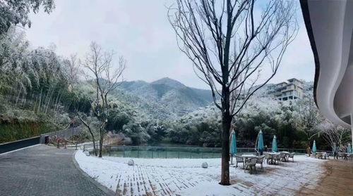 下雪了发的朋友圈短句