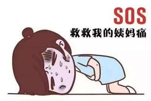 国家有规定女性月经假吗