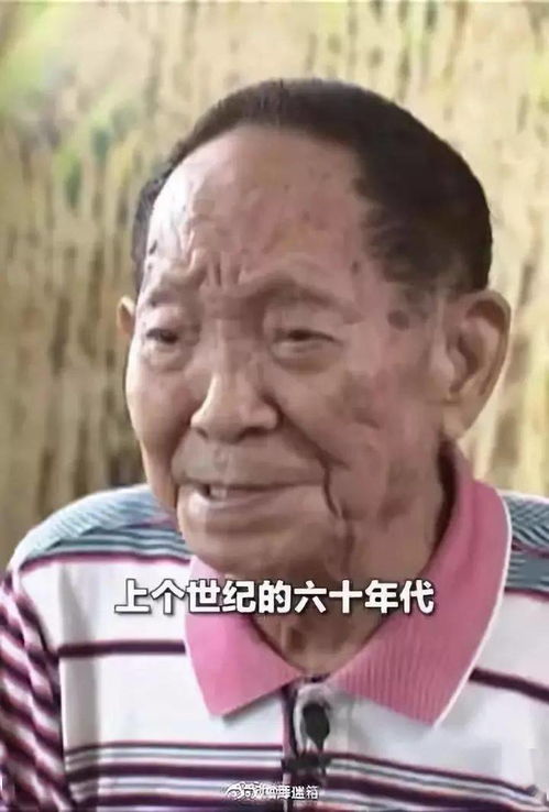 卡悠提·彼得森:野地大胆王主要讲了什么?