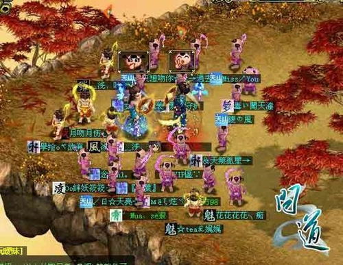 问道五周年