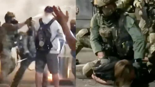执行者执法者区别