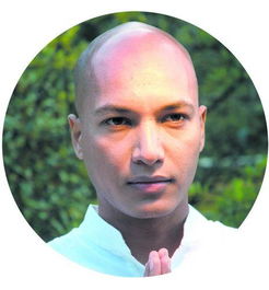 莫汉,莫汉军