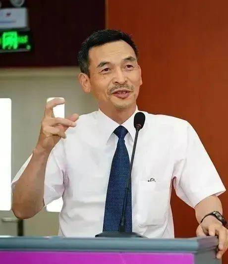 博士胆王，博士胆王胆码