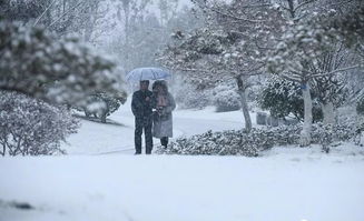 关于雪的朋友圈，关于雪的朋友圈文案