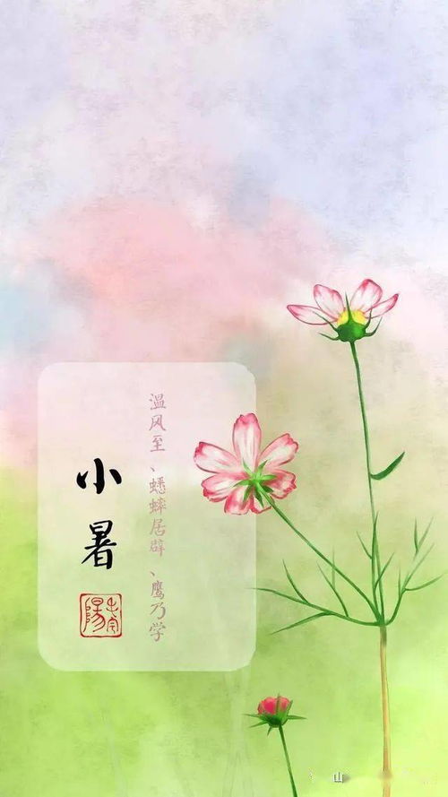 2019小暑图片大全 高清唯美小暑节气图片2019