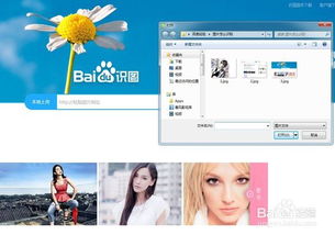 照片识图，照片识图搜索百度识图