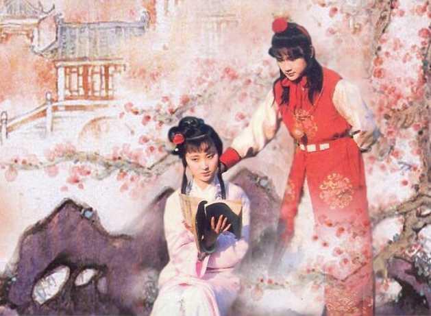 红楼梦讲了一个什么故事，红楼梦讲了一个什么故事20字