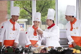 厨师论坛，厨师论坛网