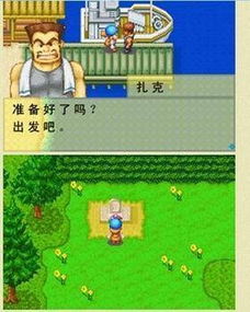 牧场物语风之集市如何追求里面的劳埃德