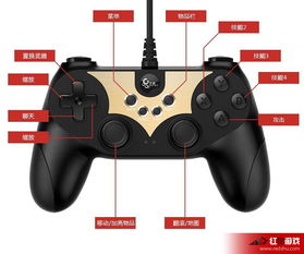 手柄键位名称图解，ps手柄键位名称图解