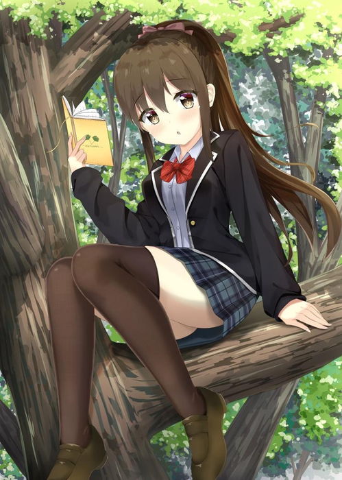二次元h