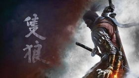《只狼》好玩还是《鬼泣》好玩?