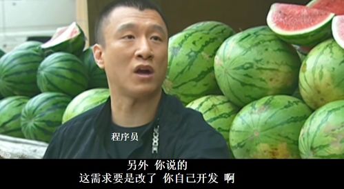 华强买瓜启强卖鱼是什么梗?