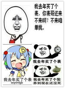 去年我买了个表
