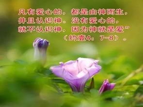 圣经中勉励人心的金句