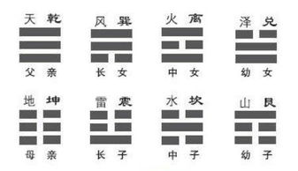 卦象解析，卦象解析图