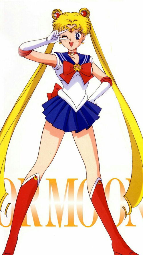 美少女战士月野兔，美少女战士月野兔的男朋友是谁?