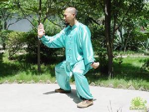 七星拳，七星拳分解动作