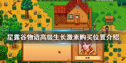 星露谷物语星期三皮埃尔在哪