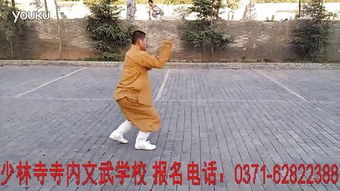 少林七星拳在实战搏击当中有什么独特之处?