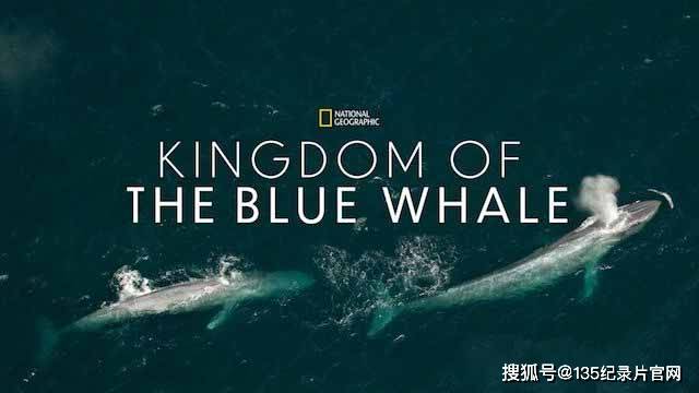 生物纪录片，生物纪录片《细胞》