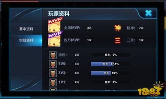 王者荣耀查战绩，王者荣耀查战绩网页