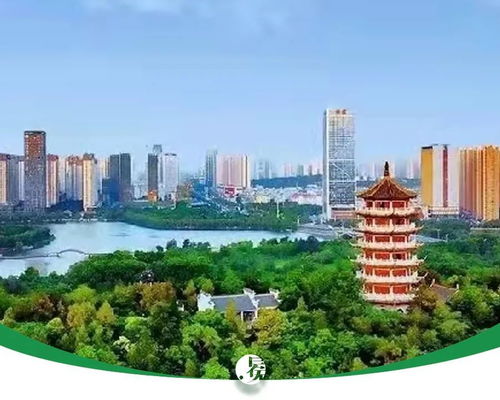 我蚌埠住了是什么意思