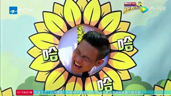 淘淘影