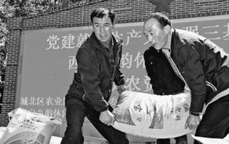 点陶关注怎么变成了大屏