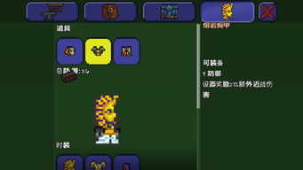 泰拉瑞亚指令，泰拉瑞亚指令怎么输入