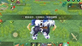 创造与魔法独角兽,创造与魔法独角兽饲料