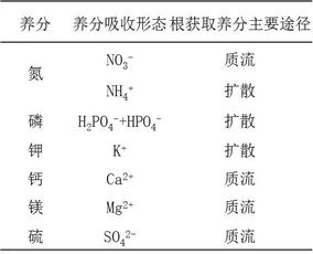 动物细胞中存在胞质环流吗?