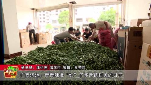 在哪里能看到广西热血大剧:使命