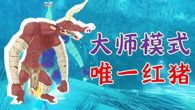 速速蜥，速速蜥蜴在哪里买