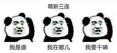 我是说，我是说文案