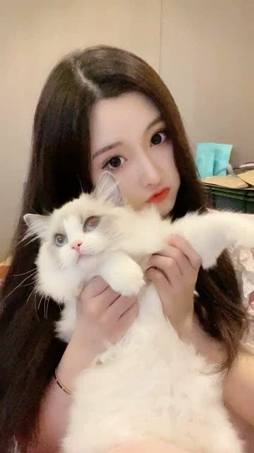 猫系女子